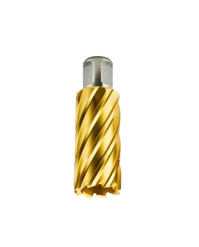Frese a Corona FEIN per Trapano Magnetico Attacco WELDON Ø 12 - 32 mm Profondità 50 mm | FEIN HSS DURA + TITANIO Frese a Corona FEIN per Trapano Magnetico Attacco WELDON Ø 12 - 32 mm Profondità 50 mm | FEIN HSS DURA + TITANIO