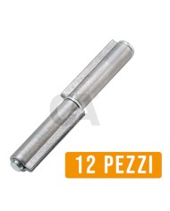 Cerniera a saldare, 2 ali corte, perno e rondella sfilabili, 12 Pezzi | Combi Arialdo 100P Cerniera a saldare, 2 ali corte, perno e rondella sfilabili, 12 Pezzi | Combi Arialdo 100P