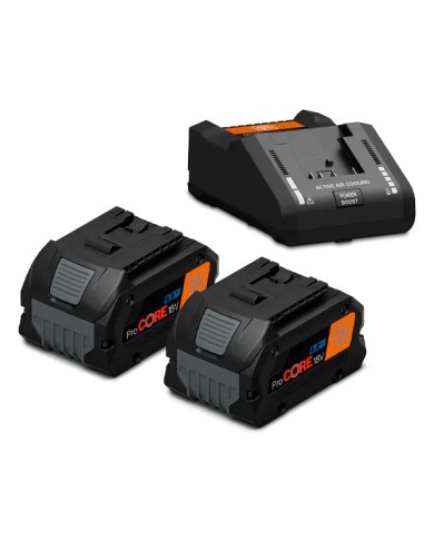 FEIN 92604229010 - Starter set di batterie ProCORE 18 V, 2x 8.0 Ah AS FEIN 92604229010 - Starter set di batterie ProCORE 18 V, 2x 8.0 Ah AS